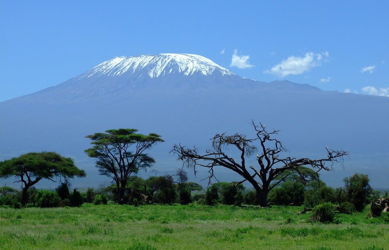 mount kilimanjaro, mountain, safari