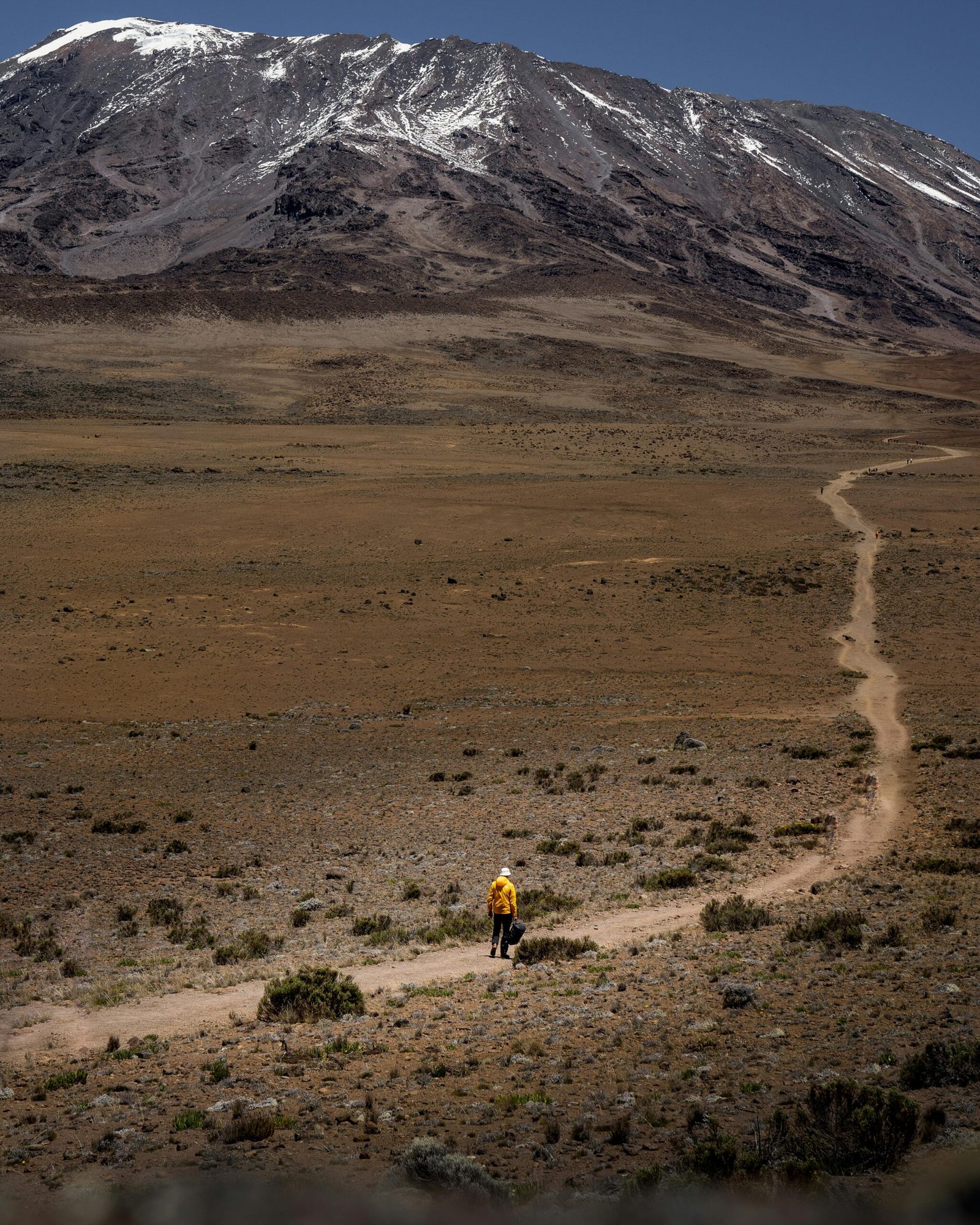 Person Walking on a Pathway Near the Mountain