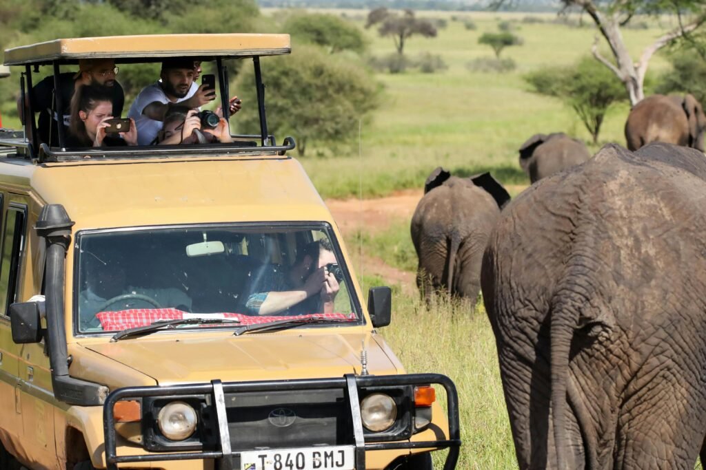 Tourists in a safari vehicle observe and photograph elephants during an African safari.